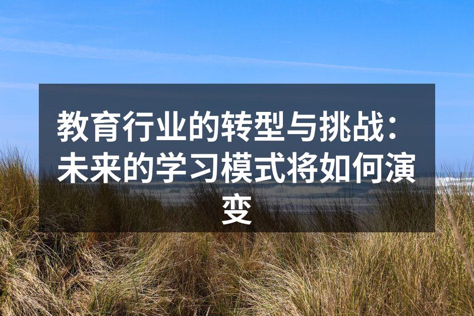 教育行业的转型与挑战：未来的学习模式将如何演变