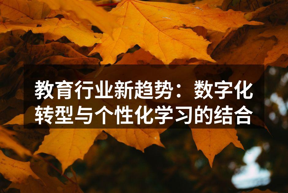 教育行业新趋势：数字化转型与个性化学习的结合